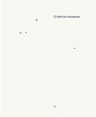 Obrázek pro Čou Cung-wej - O čem sní mravenec